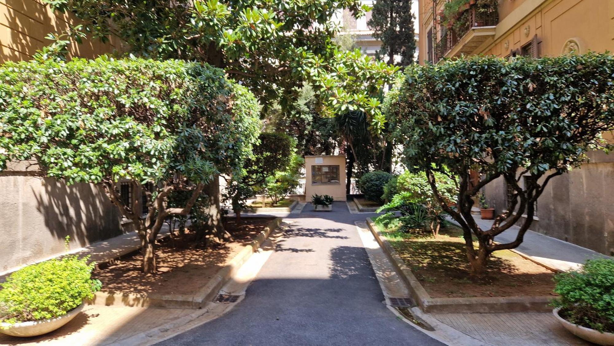 Borghese Magnolia Roma